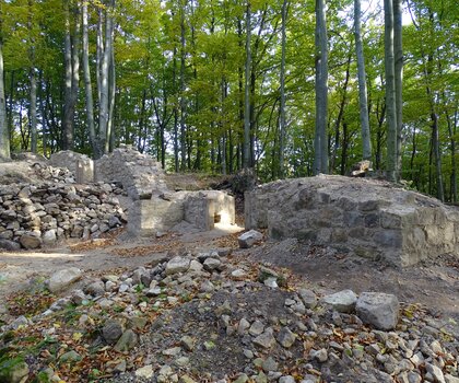 Zříceniny hradního paláce, stav po provedení konzervačních prací; v popředí pilíř, vlevo zbytek průčelí se vstupem do interiéru